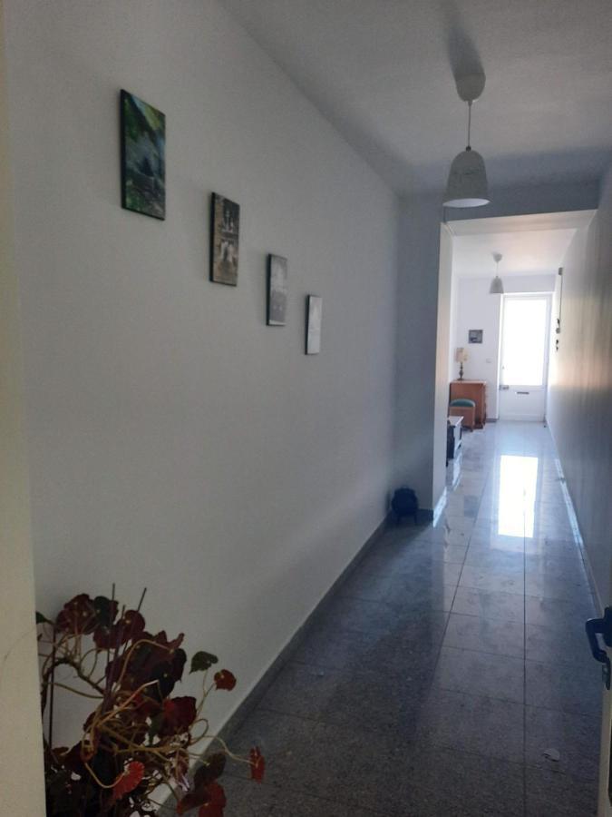 Casa Araci Hotel Vieira do Minho Eksteriør billede