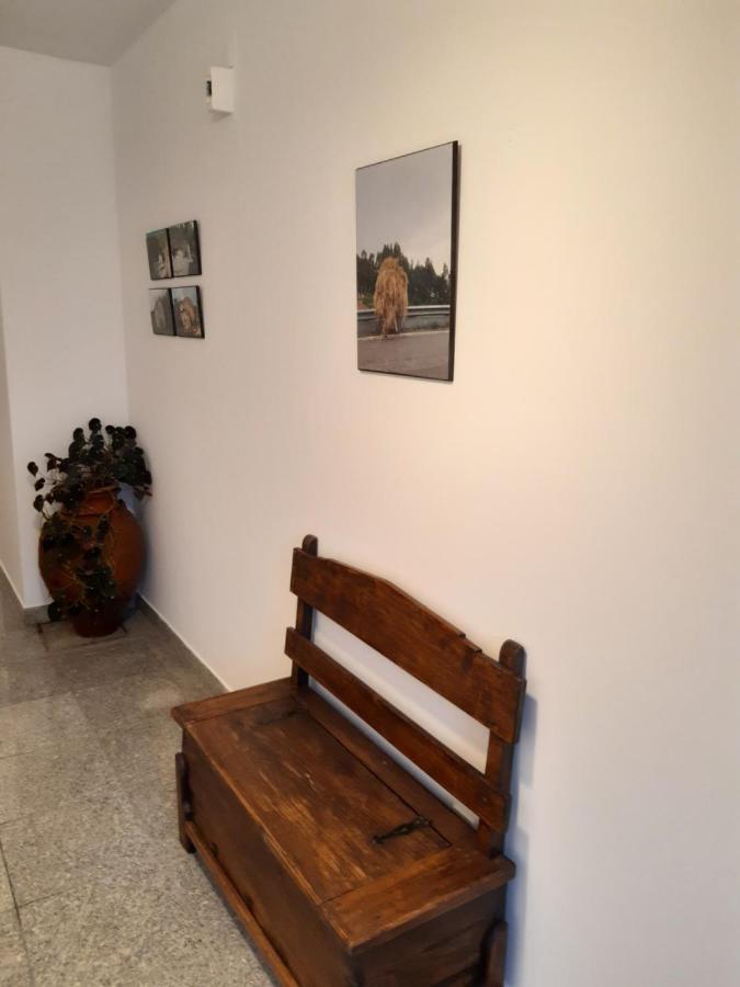 Casa Araci Hotel Vieira do Minho Eksteriør billede